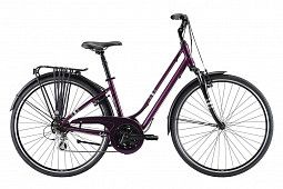 Женский велосипед LIV Flourish FS 2 (2022)